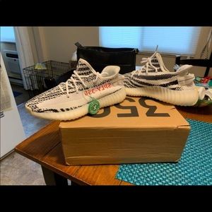 Zebra Yeezy